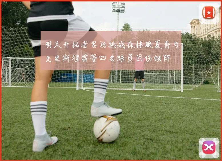 明天开拓者客场挑战森林狼夏普与克里斯穆雷等四名球员因伤缺阵
