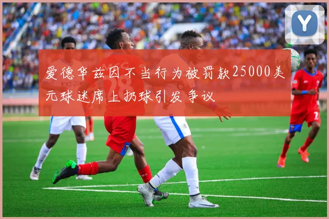 爱德华兹因不当行为被罚款25000美元球迷席上扔球引发争议