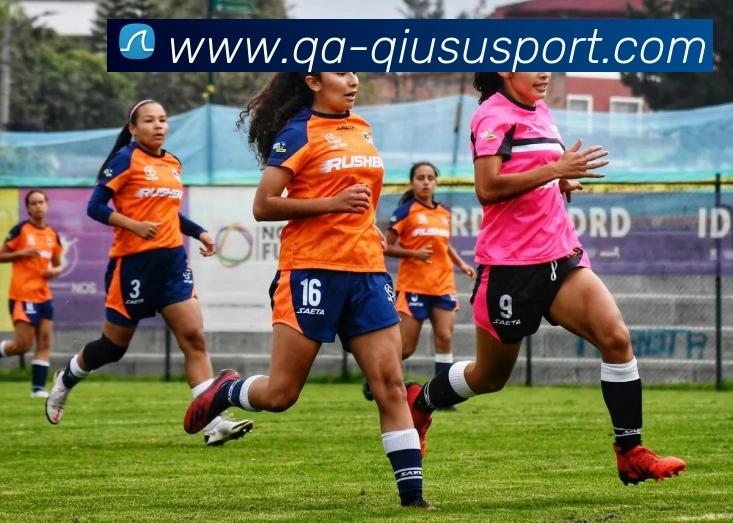 登录器